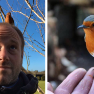 Gardener Has A Special Relationship With A Robin That Help Him Get Through A Difficult Period