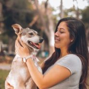 How animal welfare organizations can use technology to reunite lost pets with their families