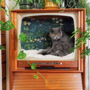 People Are Turning Retro TVs Into Trendy Cat Beds