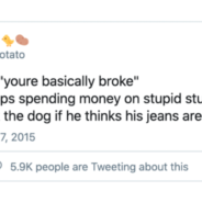 10 Hilarious Tweets Show How Much Owners Are Willing To Spend On Their Dogs