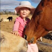 3-Year-Old Girl Gently Sings Horses To Sleep