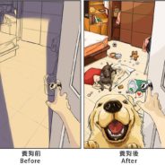 Artist Illustrates What Life Is Like Before And After Getting Pets