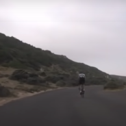 Giant Ostrich Chases Cyclists During A Bike Tour In South Africa