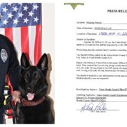 Hero K-9 Finds Missing Toddler Who Disappeared From Iowa Home