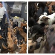 Man Opens His Home To Over 300 Rescue Dogs Ahead Of Hurricane Delta