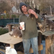 Man Rescues Over 300 Cats To Honor His Son That Died In A Motorcycle Accident