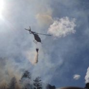 Owl Swoops Into Helicopter Battling California Wildfire And Stays Awhile