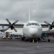 ‘Paws Across The Pacific’ Lands In Seattle, Flying 600 Hawaiian Shelter Pets To New Lives On Historic Flight