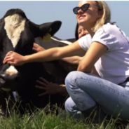 People Around The World Are Hugging Cows To Reduce Stress