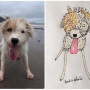 These ‘Rubbish’ Pet Portraits Raised Nearly $6,500 To Help The Homeless