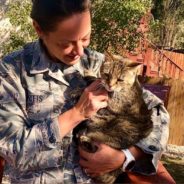 This Air Force Sergeant Rescued A Kitten To Cope With Deployment. Now She’s Fighting For Her Cat’s Life