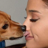 Arianna Grande Is Opening An Animal Rescue Center