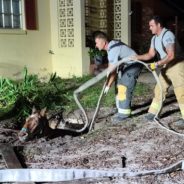 Florida Firefighters Rescue 40-Year-Old Horse Trapped In Septic Tank