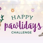 Holiday Shelter Challenge: Help Us Play Santa With $90K In Cash & Prizes