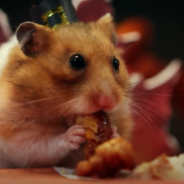 Man Makes A Tiny Thanksgiving Dinner For His Hamster And It’s Too Cute