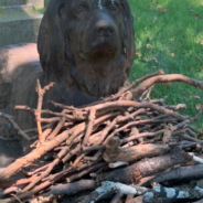 People Enjoy Leaving Sticks At This 100-Year-Old Dog’s Gravesite