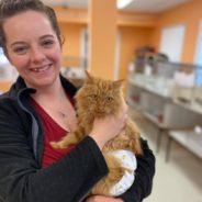 This Cat Was Flung From A Moving Car And Nearly Died. Now She’s Looking For A New Home.