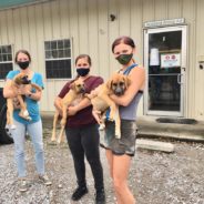 Here’s How Your Donations Helped A Struggling Animal Shelter Rebuild After Hurricane Delta