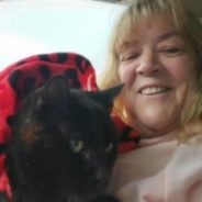 Missing Cat Reunited With Family In “Christmas Miracle” 7 Years After He Disappeared