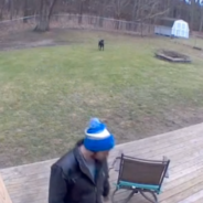 People Urge Woman To Leave Her Boyfriend After She Shared A Video Of Him Playing With Her Dog