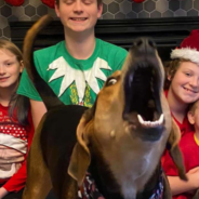 Rescue Dog Finds A Way To Get Into Every Christmas Card Photo