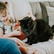 Why these Pet Foster Stimulus Grant recipients implemented a foster to home program 