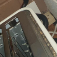 Woman Finds Deadly Snake Hiding Behind Her Toaster While She Was Making Breakfast