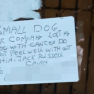 Delivery Driver Finds A Note From A Customer Asking For A Dog Companion