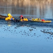 Drowning Deer Rescued By Firefighters After Falling Through A Frozen Lake