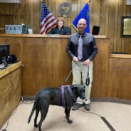 Long-Term Shelter Dog Becomes District Attorney’s Office Pet and Cheers Up the Courtroom