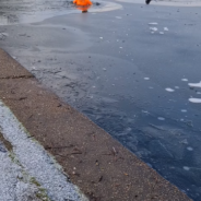 Man Jumps Into Freezing Water And Breaks Through The Ice To Rescue Drowning Dog