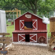 People Have Fallen In Love With This Western Town-Themed Chicken Coop