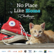 Register now for the No Place Like Home Challenge!