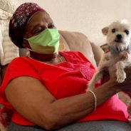 Retired Woman Who Didn’t ‘Want One of Those Little Dogs’ Falls in Love with One