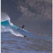 Sea Lions Recorded ‘Surfing’ Huge Waves Off California Coast