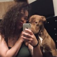 Shelter Accidentally Euthanized Woman’s Pit Bull Right Before She Came To Pick Him Up