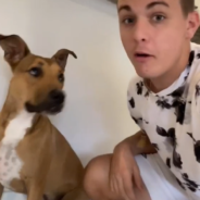 Teen With Tourette’s Goes Viral For Making Inspiring TikTok Videos With His Dog