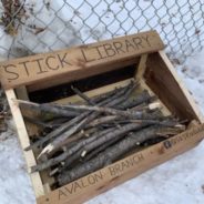 10-Year-Old Boy Builds A ‘Stick Library’ At The Park For The Neighborhood Dogs