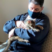 15 Years After Disappearing As A Kitten, Long-Lost Cat Has “Emotional” Reunion With Her Owner