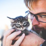 Dad Eats Dinner With His Cat Every Night At The Dinner Table