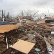 Dog Found Alive After A Tornado Destroyed His Family’s Home