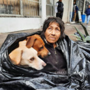 Homeless Woman Refuses To Leave Her Six Dogs For A Warm Bed At A Shelter