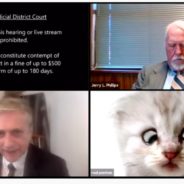 Lawyer Appears As Cat For Hearing After Zoom Difficulties And The Video Has Gone Viral