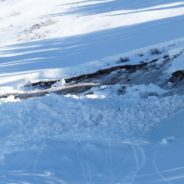 Man Rescues Elk After It Gets Buried By An Avalanche