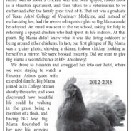 Someone Posted An Obituary In Their Local Paper For Their Pet Chicken