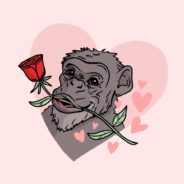 These Chimps At A Sanctuary Will Smash A Heart With Your Ex’s Name On It For Valentine’s Day