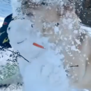 Yellow Lab Loves Destroying Snowmen With Her Baby Sister