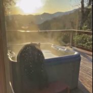 Black Bear Spotted Relaxing In Jacuzzi At Tennessee Vacation Rental