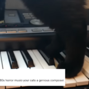 Black Cat Walks On A Keyboard And Accidentally Plays ‘Horror Movie’ Music