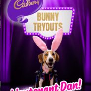 Cadbury Reveals This Year’s 10 “Bunny” Finalists